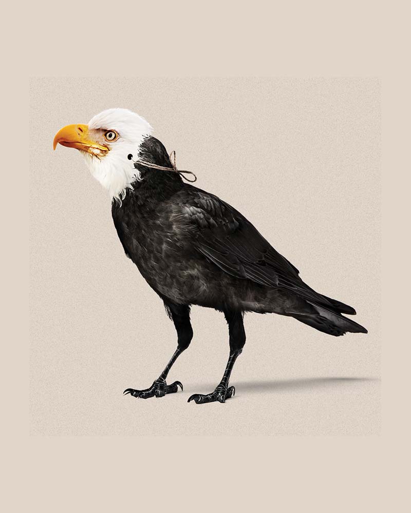 Tracy Letts' THE MINUTES to Open at Broadway's Cort Theatre